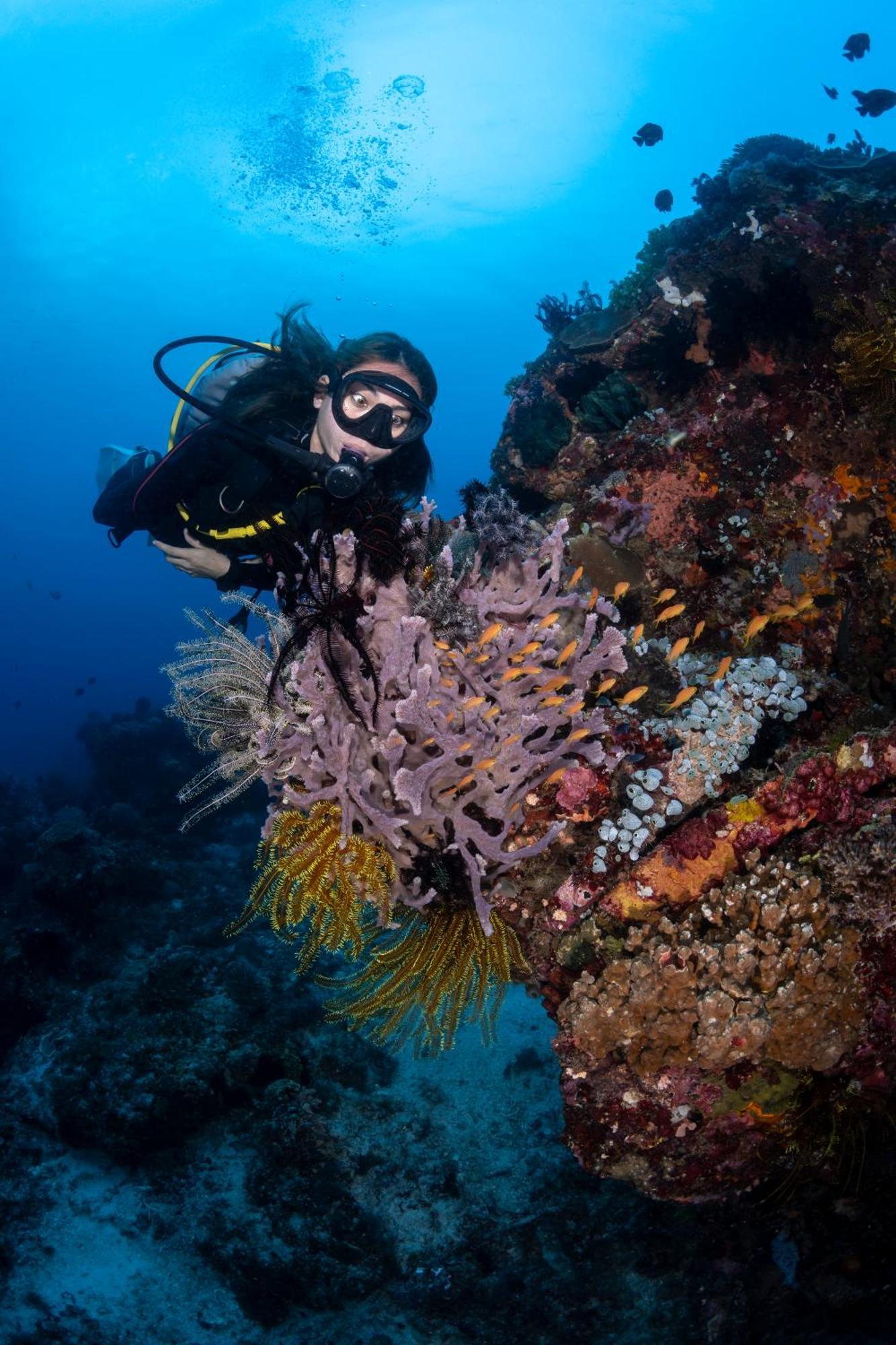 Emoha Dive Resort Santander Exterior foto